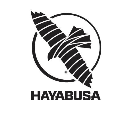 Hayabusa